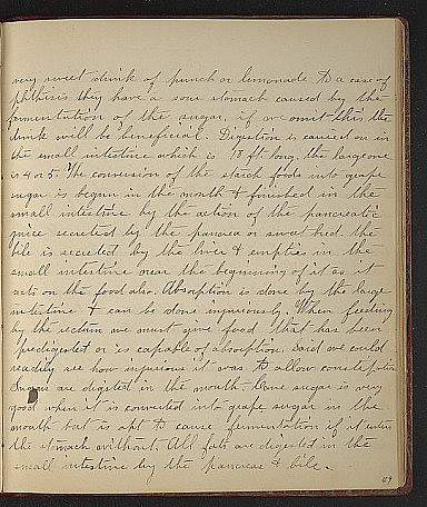 [page 49r V.2]  very sweet drink of punch or lemonade to a case of phthisis they have a sour stomach caused by the fermentation of the su...